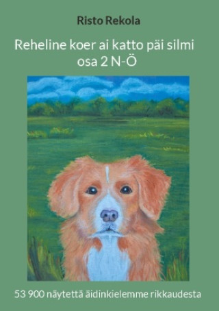 Kniha Reheline koer ai katto päi silmi (osa 2) Risto Rekola