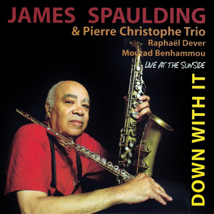 Áudio DOWN WITH IT SPAULDING & PIERRE CHRISTOPHE TRIO