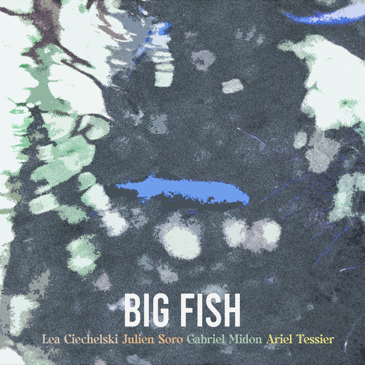 Audio BIG FISH FISH