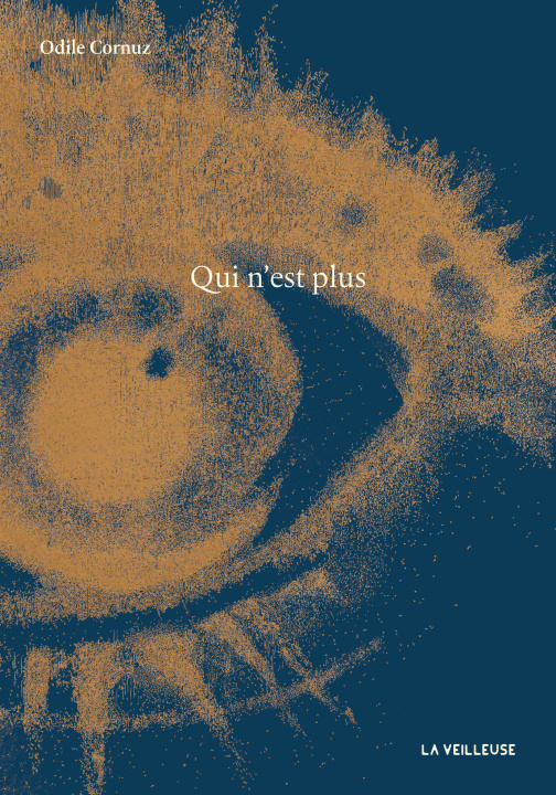 Book Qui n’est plus Cornuz