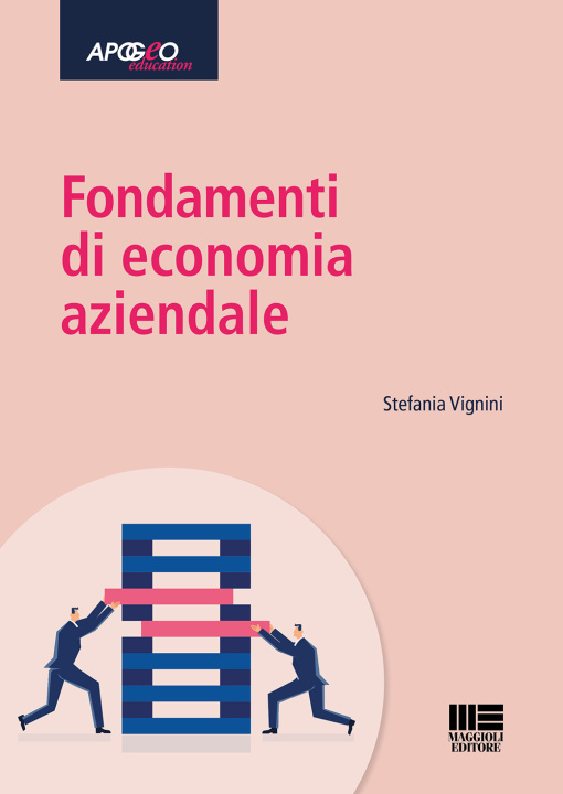 Kniha Fondamenti di economia aziendale Stefania Vignini