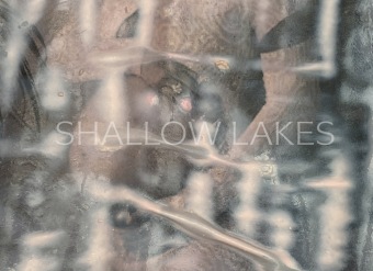 Knjiga shallow lakes Melike Kara
