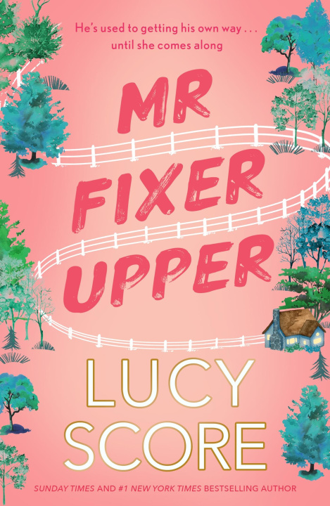 Buch Mr Fixer Upper 