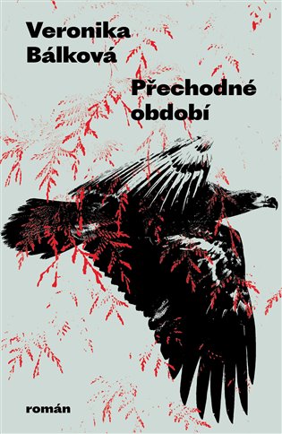 Book Přechodné období Veronika Bálková