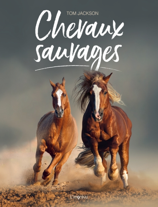Kniha Les chevaux sauvages 