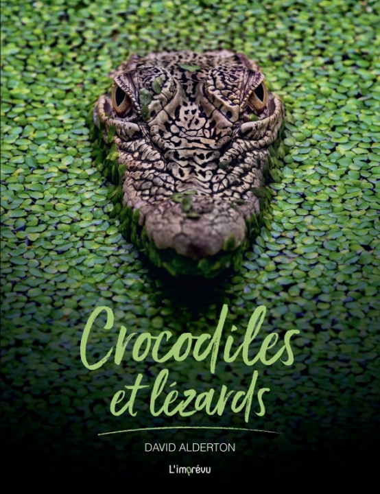 Knjiga Crocodiles et Lézards 