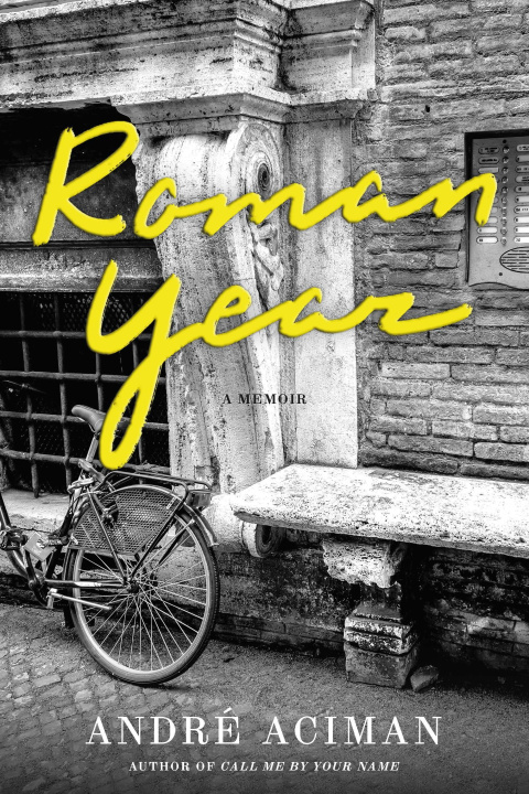 Book Roman Year Aciman