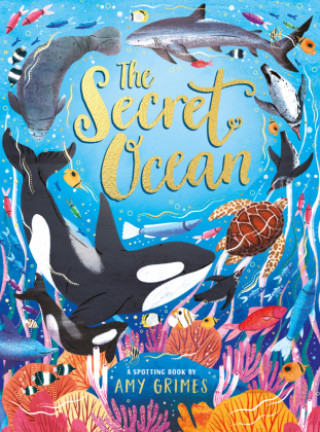 Βιβλίο Secret Ocean Amy Grimes