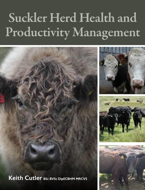 Könyv Suckler Herd Health and Productivity Management 