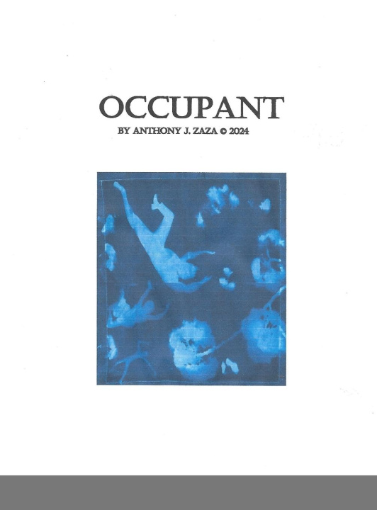 Βιβλίο OCCUPANT Peter Young