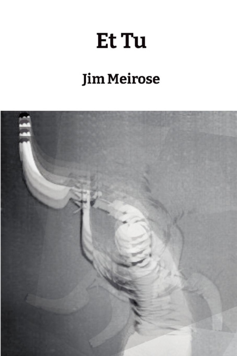 Knjiga Et Tu Jim Meirose