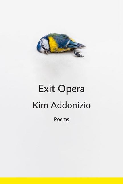 Book Exit Opera Addonizio