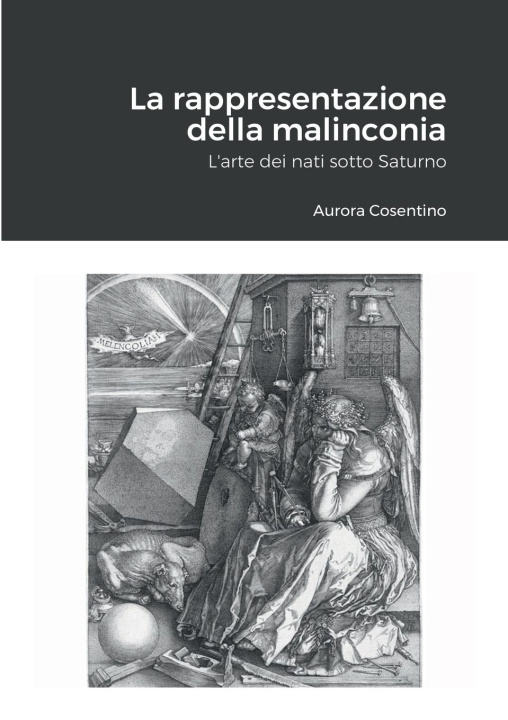 Boek La rappresentazione della malinconia Aurora Cosentino