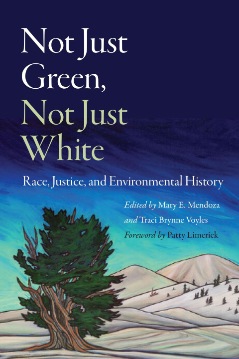 Книга Not Just Green, Not Just White Mary E Mendoza