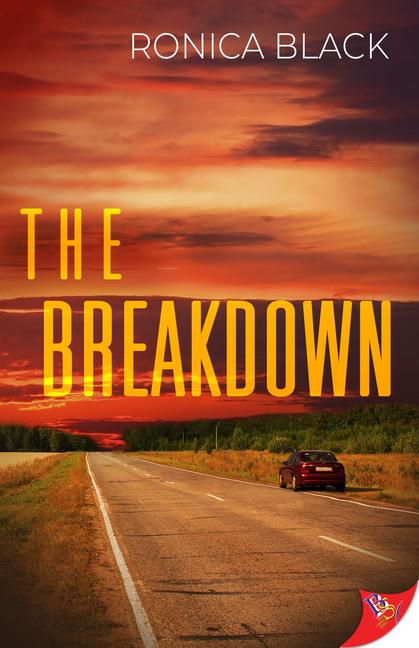 Knjiga The Breakdown Ronica Black