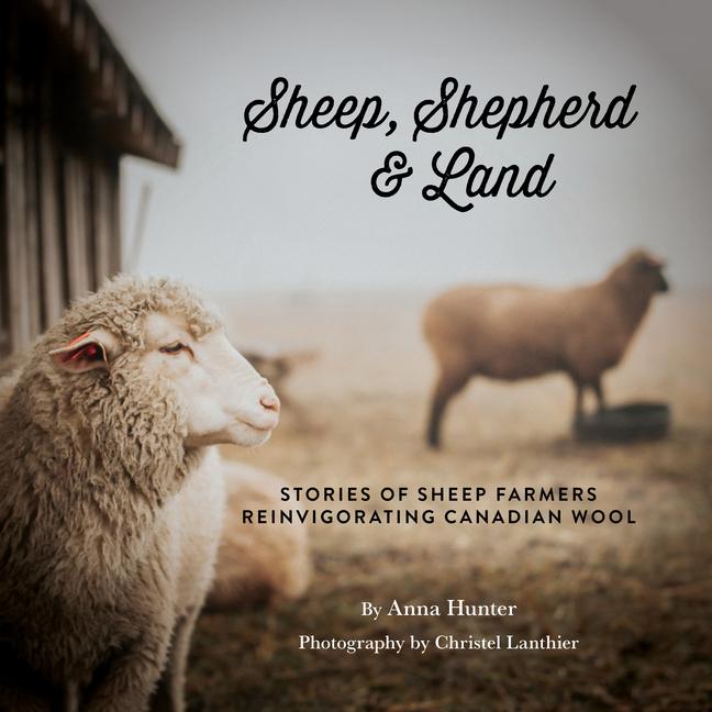 Book Sheep, Shepherd & Land Christel Lanthier