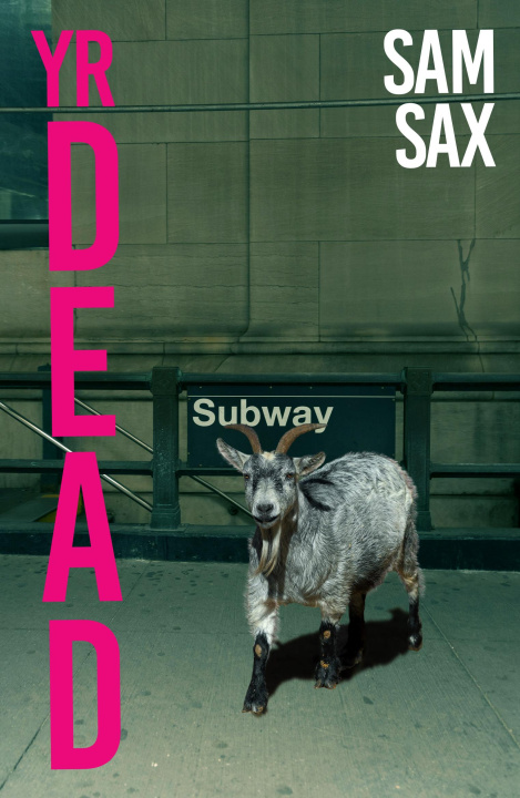 Buch Yr Dead Sam Sax