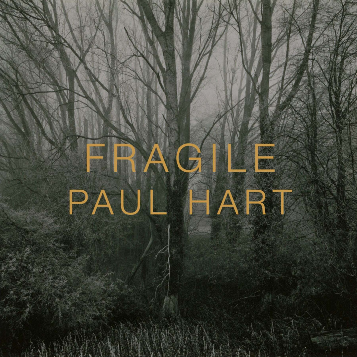 Knjiga Fragile Hart