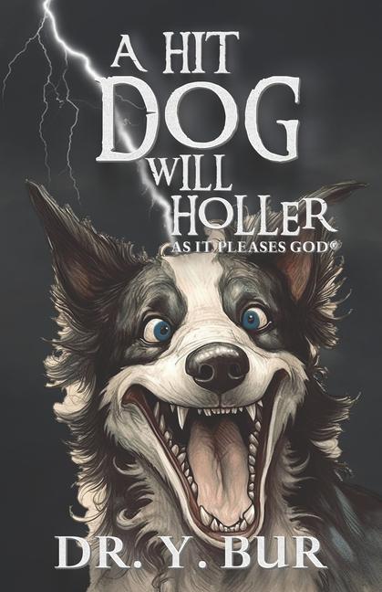 Knjiga A Hit Dog Will Holler Y. Bur