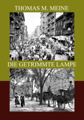 Kniha DIE GETRIMMTE LAMPE Thomas M. Meine