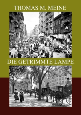 Book DIE GETRIMMTE LAMPE Thomas M. Meine
