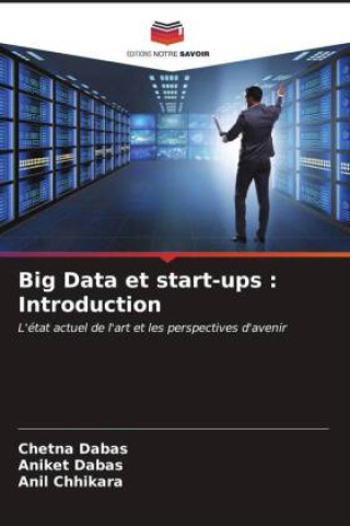 Kniha Big Data et start-ups : Introduction Aniket Dabas