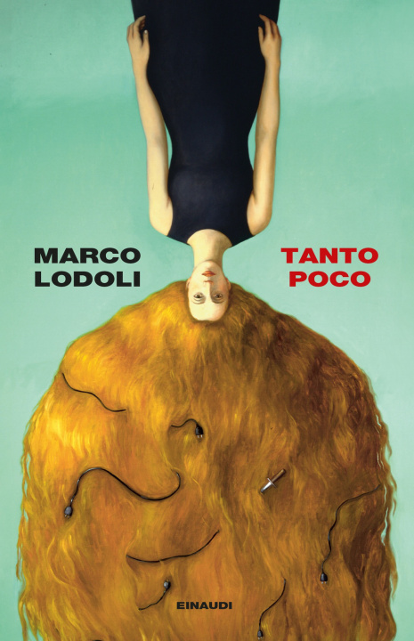 Kniha Tanto poco Marco Lodoli