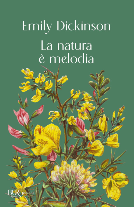 Książka natura è melodia Emily Dickinson