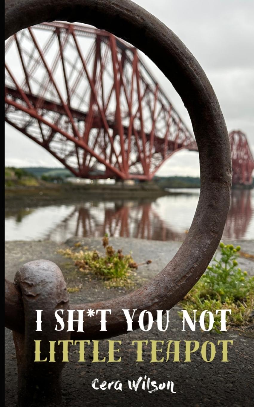 Boek I Sh*t You Not Little Teapot Cera Wilson