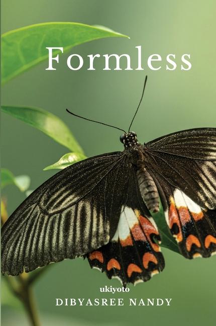 Knjiga Formless Dibyasree Nandy