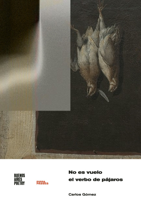 Carte No es vuelo el verbo de pájaros Carlos Gómez