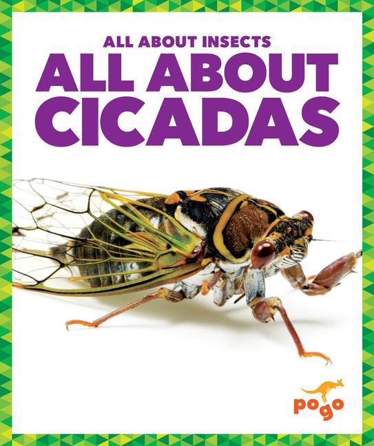 Knjiga All about Cicadas 