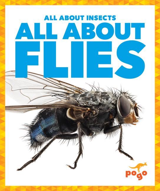 Knjiga All about Flies 