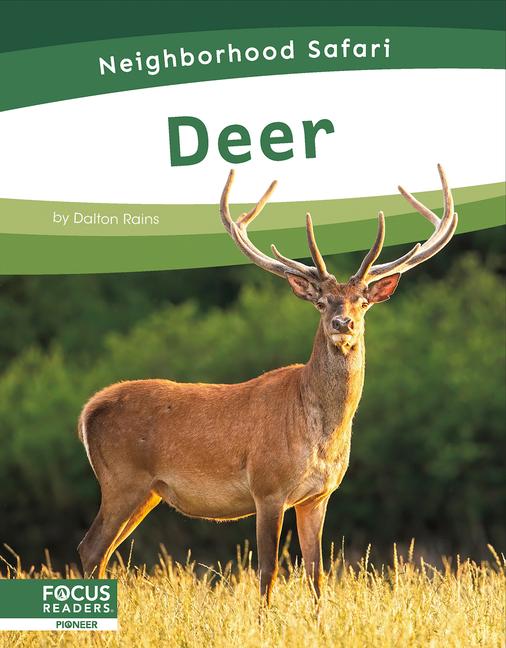 Livro Deer Dalton Rains