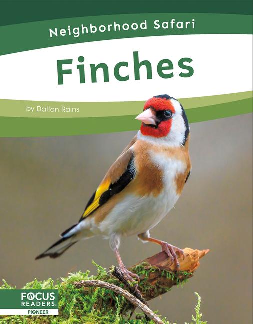 Book Finches Dalton Rains