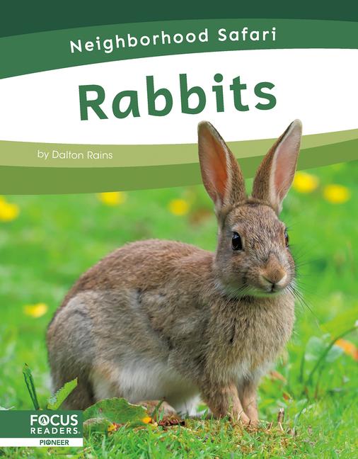 Könyv Rabbits 