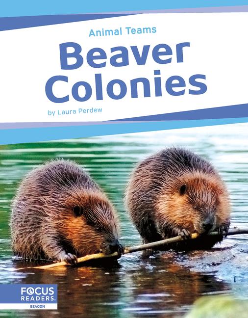 Knjiga Beaver Colonies Laura Perdew