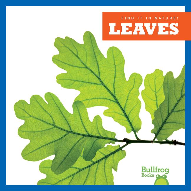 Knjiga Leaves 