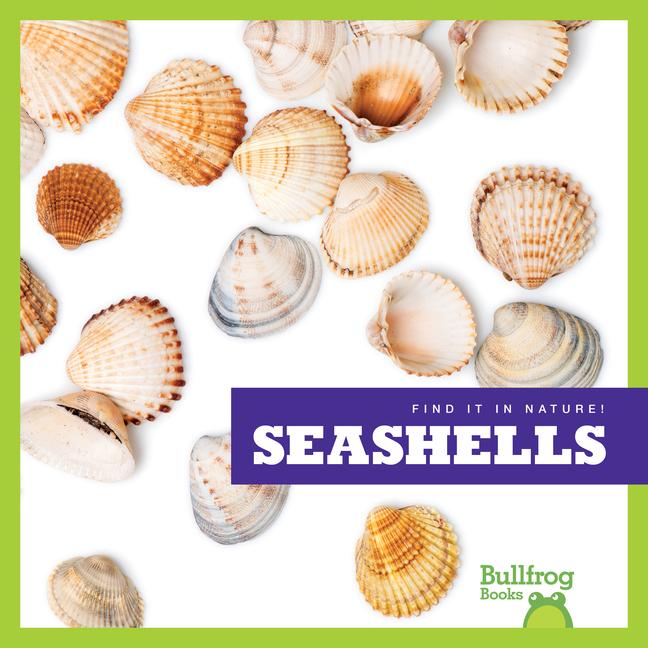 Knjiga Seashells 