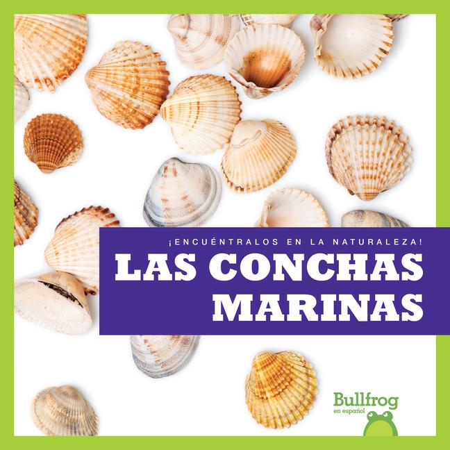 Carte Las Conchas Marinas (Seashells) 