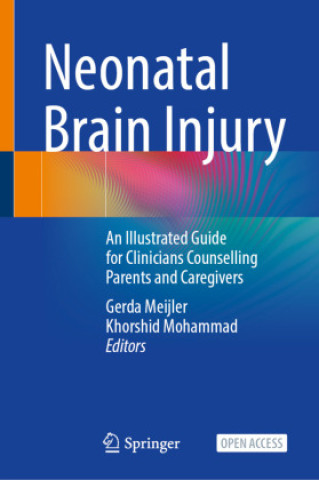 Libro Neonatal Brain Injury Gerda Meijler