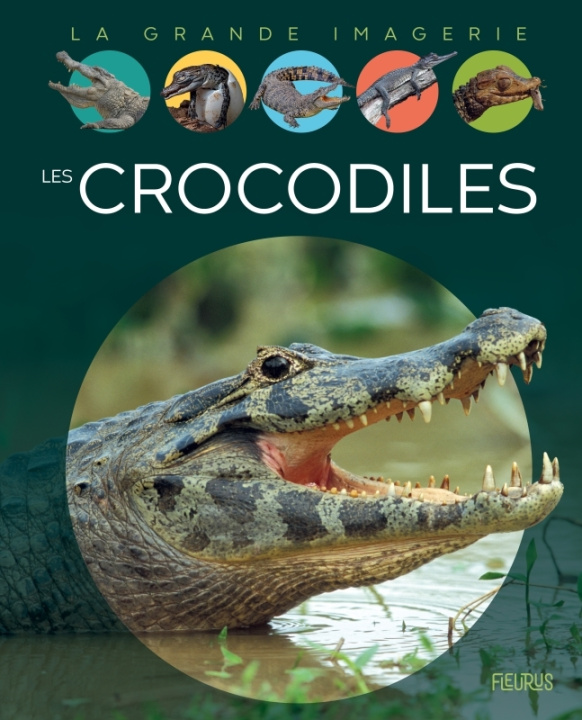 Книга Les crocodiles Cathy Franco