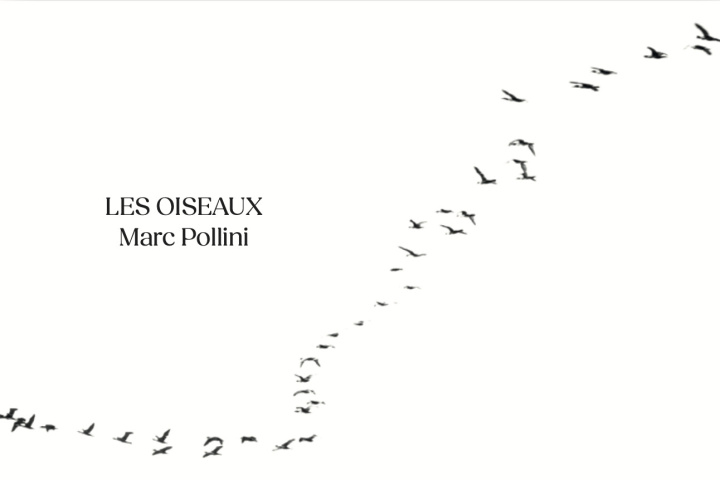 Boek Les Oiseaux Pollini