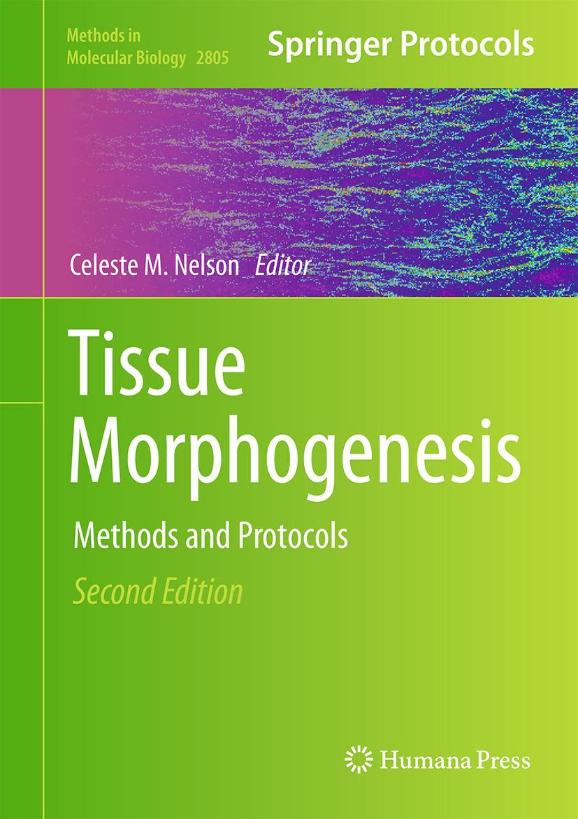 Kniha Tissue Morphogenesis Celeste M. Nelson