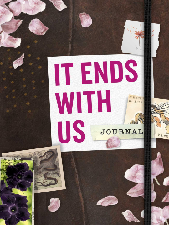 Buch IT ENDS WITH US MTI JOURNAL ADAMS MEDIA