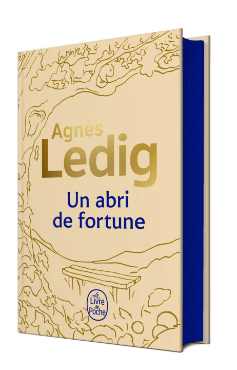 Kniha Un abri de fortune - Edition collector Agnès Ledig