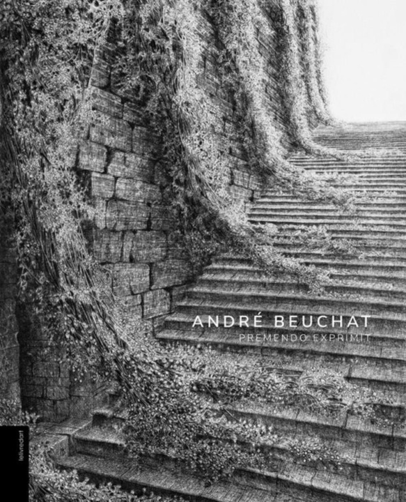 Knjiga ANDRE BEUCHAT D'ACCHILLE TIZIANA