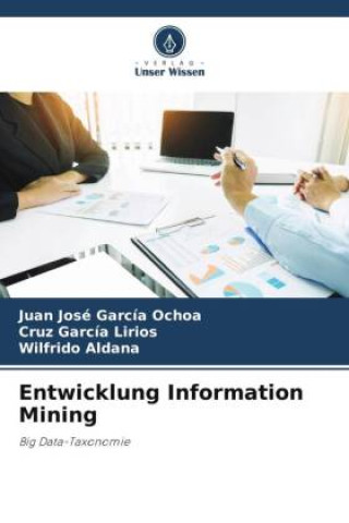 Knjiga Entwicklung Information Mining Juan José García Ochoa