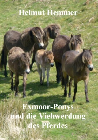 Kniha Exmoor-Ponys und die Viehwerdung des Pferdes Helmut Hemmer