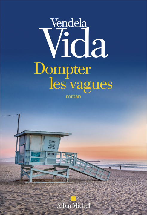 Knjiga Dompter les vagues Vendela Vida
